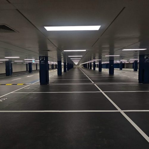 WhatsApp Image 2025-09-11 at 4.58.00 PM